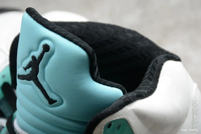 Kick Theory Island 5 CN2932-100 Jordan Green Air 0817